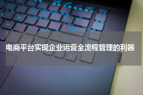  电商平台实现企业运营全流程管理的利器