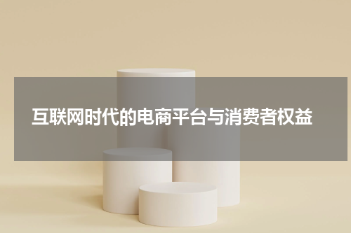  互联网时代的电商平台与消费者权益