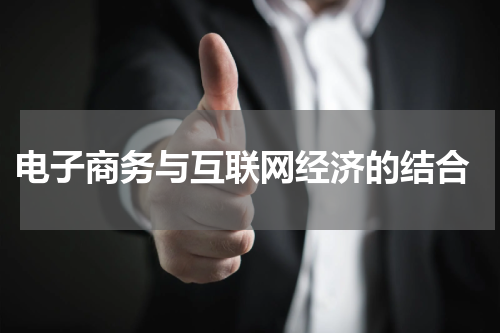 电子商务与互联网经济的结合