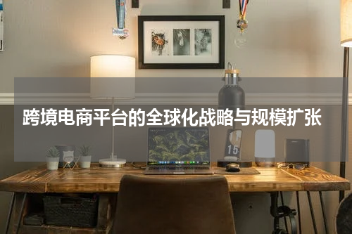  跨境电商平台的全球化战略与规模扩张