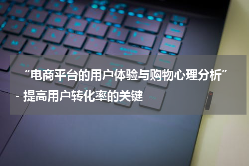  “电商平台的用户体验与购物心理分析”- 提高用户转化率的关键