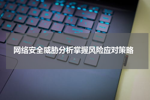  网络安全威胁分析掌握风险应对策略