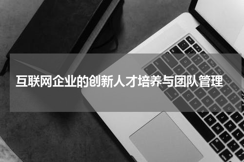  互联网企业的创新人才培养与团队管理