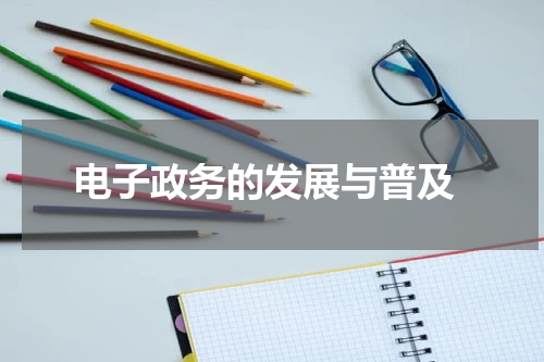  电子政务的发展与普及