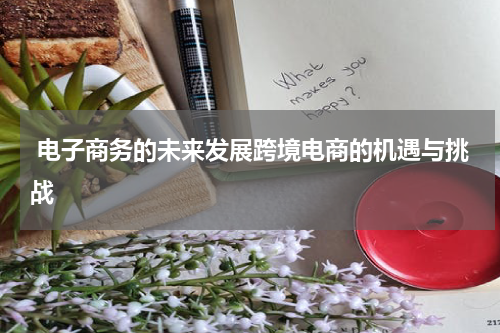 电子商务的未来发展跨境电商的机遇与挑战