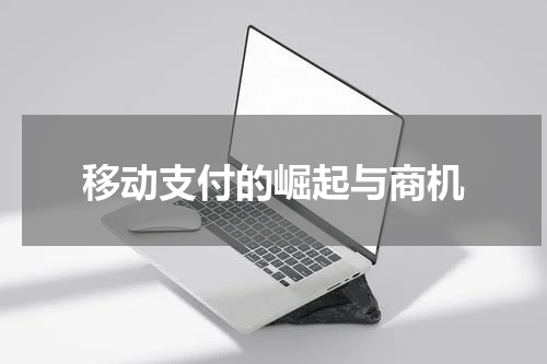 移动支付的崛起与商机