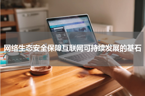 网络生态安全保障互联网可持续发展的基石