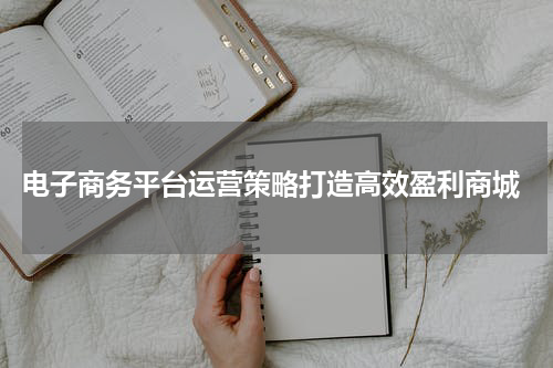  电子商务平台运营策略打造高效盈利商城