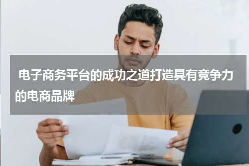  电子商务平台的成功之道打造具有竞争力的电商品牌