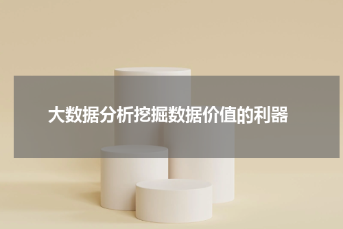  大数据分析挖掘数据价值的利器
