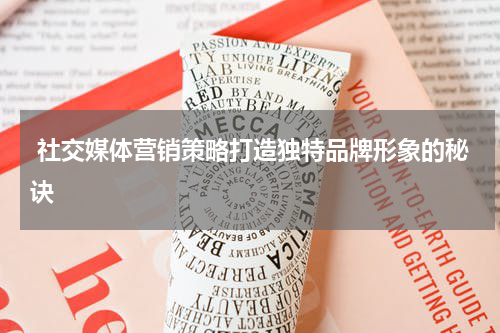 社交媒体营销策略打造独特品牌形象的秘诀