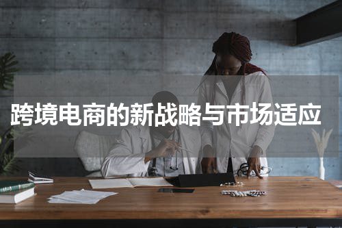  跨境电商的新战略与市场适应