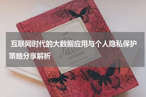 互联网时代的大数据应用与个人隐私保护策略分享解析