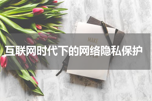 互联网时代下的网络隐私保护
