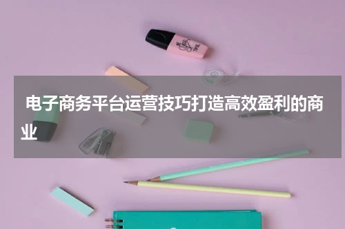  电子商务平台运营技巧打造高效盈利的商业