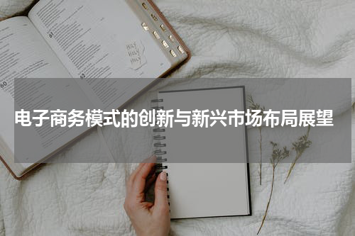  电子商务模式的创新与新兴市场布局展望