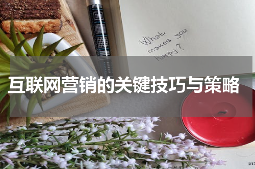  互联网营销的关键技巧与策略