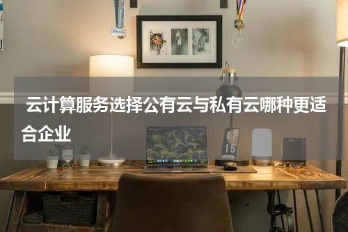  云计算服务选择公有云与私有云哪种更适合企业