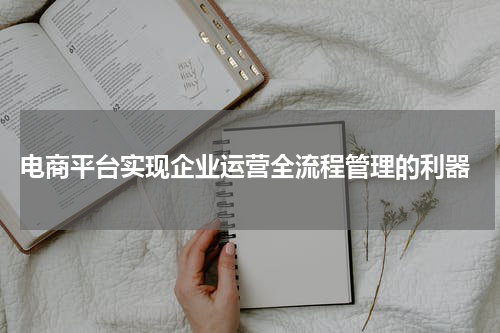  电商平台实现企业运营全流程管理的利器