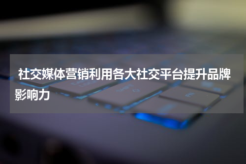  社交媒体营销利用各大社交平台提升品牌影响力