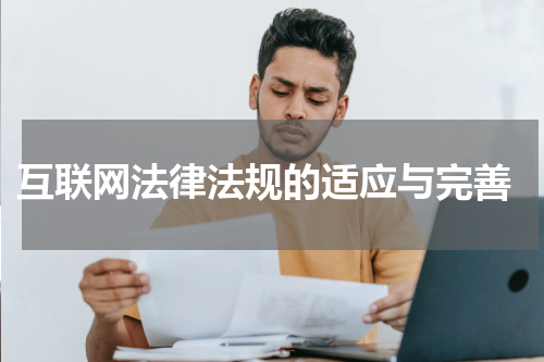  互联网法律法规的适应与完善