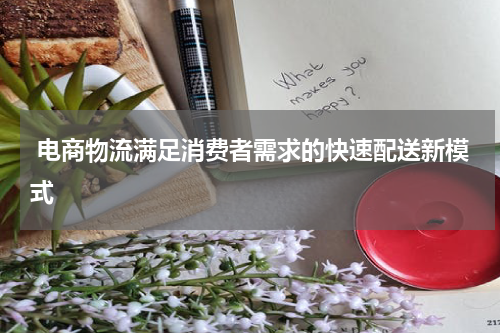 电商物流满足消费者需求的快速配送新模式
