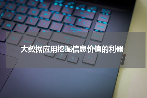 大数据应用挖掘信息价值的利器