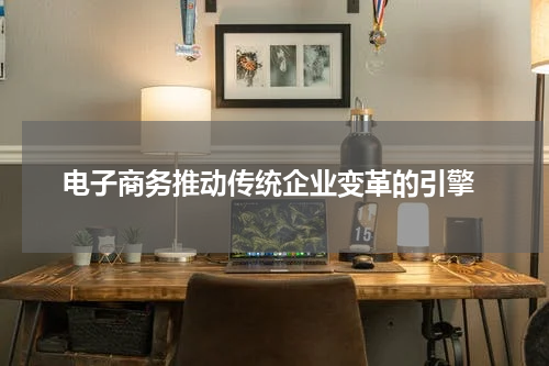  电子商务推动传统企业变革的引擎