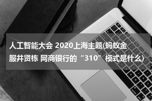 人工智能大会 2020上海主题(蚂蚁金服井贤栋 网商银行的“310”模式是什么)