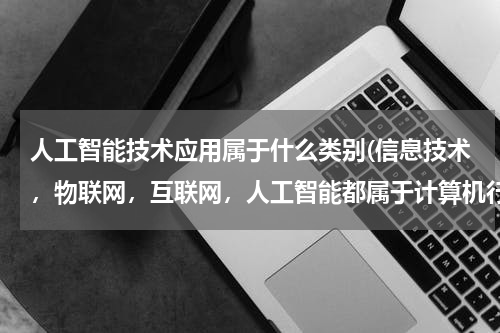 人工智能技术应用属于什么类别(信息技术，物联网，互联网，人工智能都属于计算机行业吗)