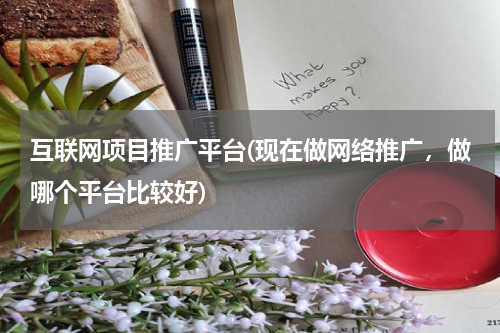 互联网项目推广平台(现在做网络推广，做哪个平台比较好)