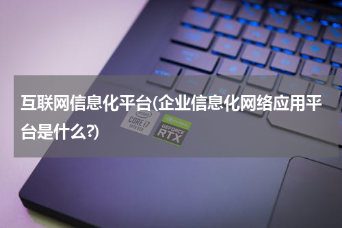 互联网信息化平台(企业信息化网络应用平台是什么?)