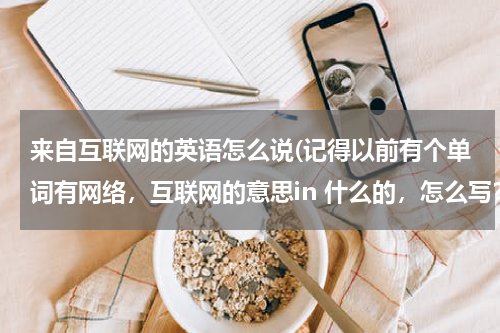 来自互联网的英语怎么说(记得以前有个单词有网络，互联网的意思in 什么的，怎么写？？)
