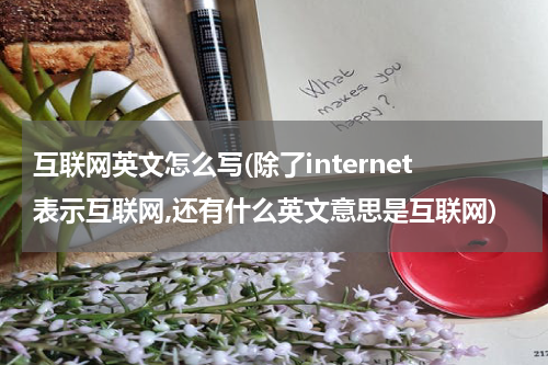 互联网英文怎么写(除了internet表示互联网,还有什么英文意思是互联网)