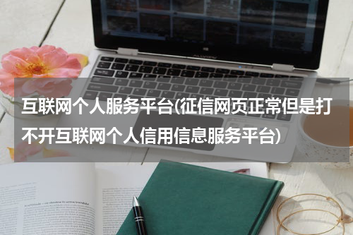 互联网个人服务平台(征信网页正常但是打不开互联网个人信用信息服务平台)