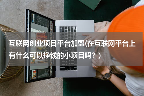 互联网创业项目平台加盟(在互联网平台上有什么可以挣钱的小项目吗？)