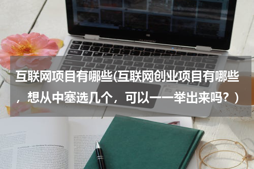 互联网项目有哪些(互联网创业项目有哪些，想从中塞选几个，可以一一举出来吗？)