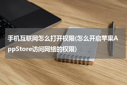 手机互联网怎么打开权限(怎么开启苹果AppStore访问网络的权限)