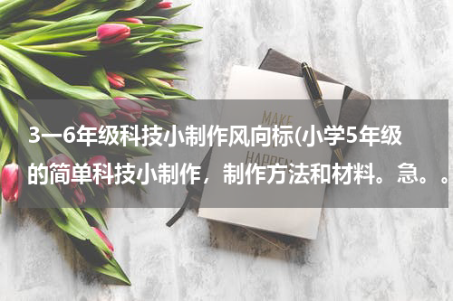 3一6年级科技小制作风向标(小学5年级的简单科技小制作，制作方法和材料。急。。。。。。。。。。。)