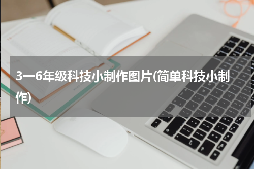 3一6年级科技小制作图片(简单科技小制作)