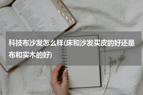 科技布沙发怎么样(床和沙发买皮的好还是布和实木的好)