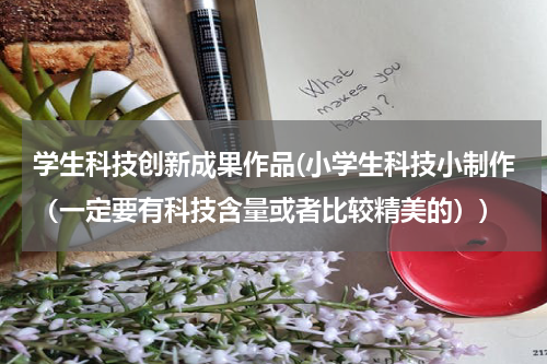 学生科技创新成果作品(小学生科技小制作(一定要有科技含量或者比较精美的))