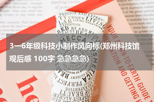 3一6年级科技小制作风向标(郑州科技馆观后感 100字 急急急急)