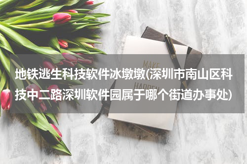 地铁逃生科技软件冰墩墩(深圳市南山区科技中二路深圳软件园属于哪个街道办事处)